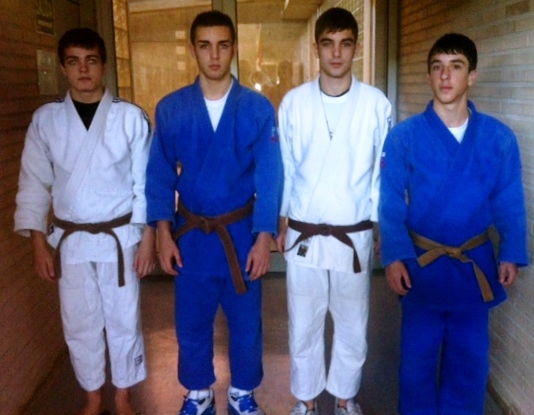 Torneo de España de Judo